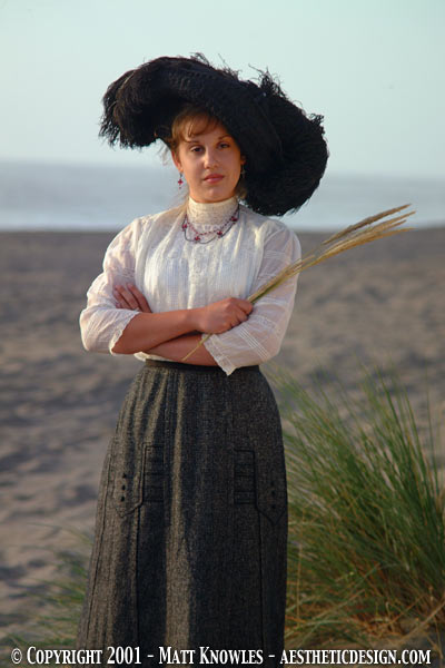 c1.jpg (41969 bytes)