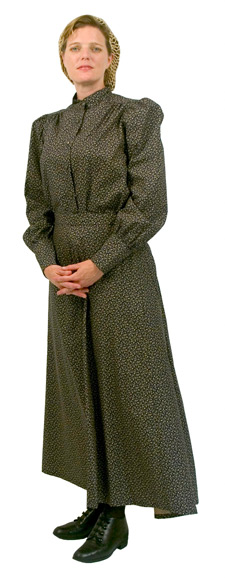 c3.jpg (40950 bytes)